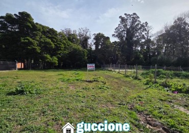 LOTE ALFAR ONEGLIA Y PEREZ BULNES 
